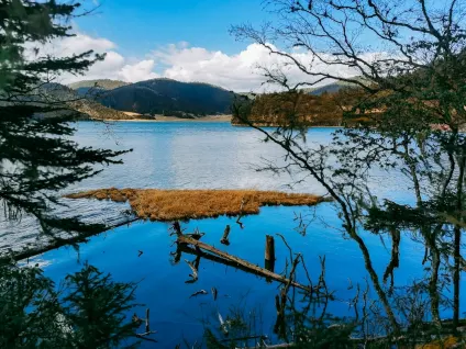 WagonBet Kasiino Mobiilirakendus